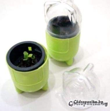 CapsulePot