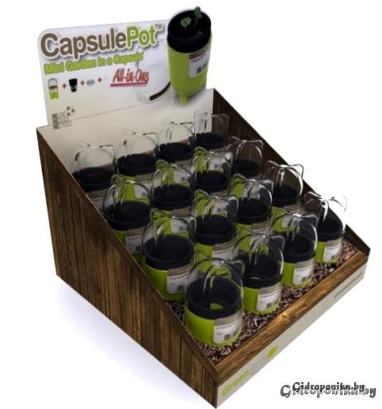 CapsulePot