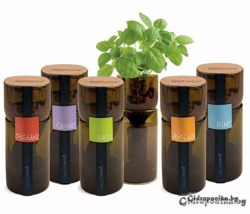 GrowBottle. Мини – огород из винных бутылок