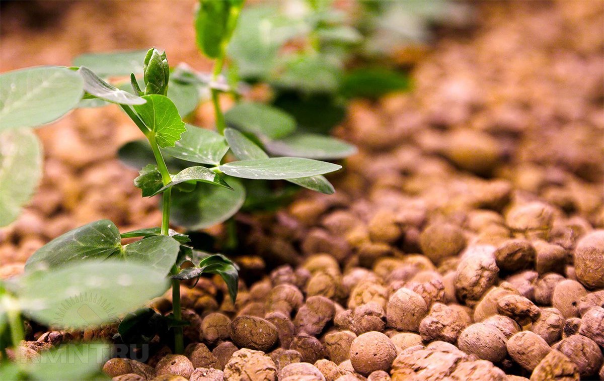 Урок 2.1 Керамзит