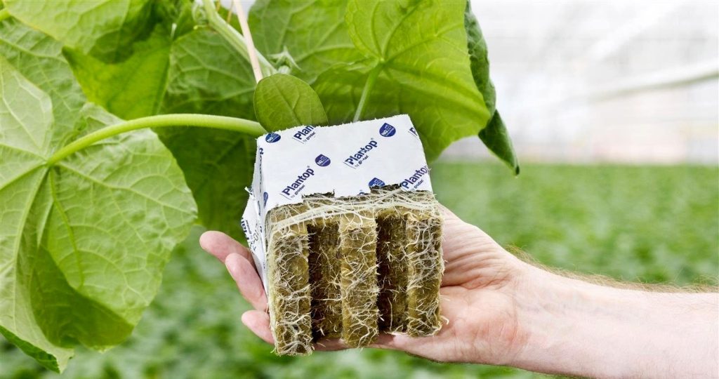 Минеральная вата