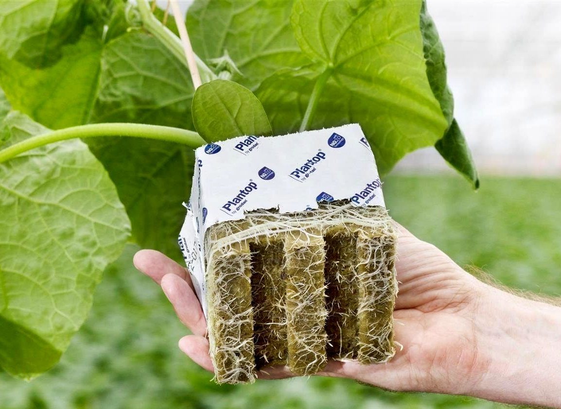 Урок 2. Субстраты для гидропоники