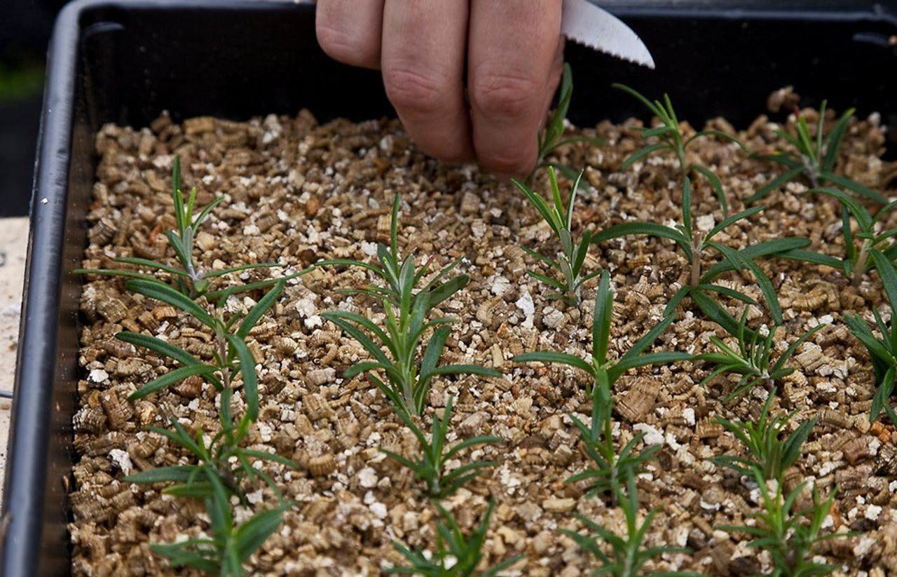 Урок 2.3 Вермикулит