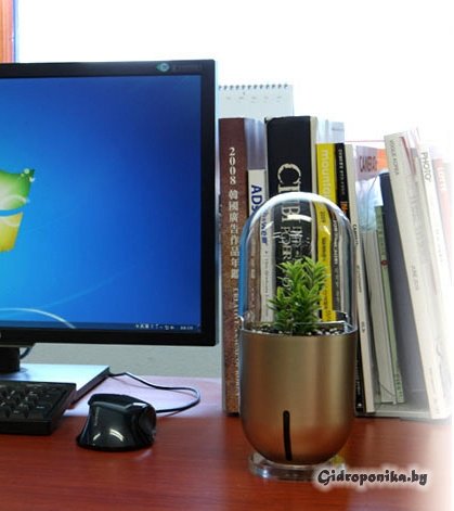 CapsulePot — новый дизайн