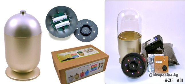CapsulePot 