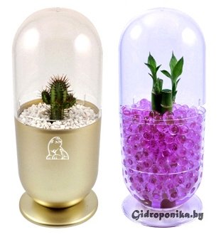 CapsulePot 