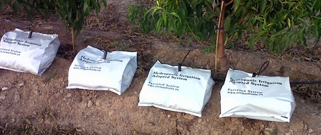 Гидропоника и плодовые деревья