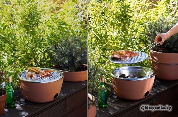 Hotpot: барбекю и ботанический сад в одном