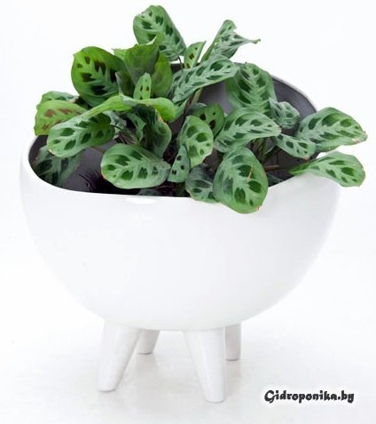 Керамический цветочный горшок в виде кресла