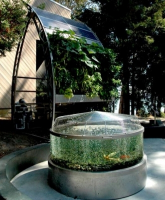 Аквапоника Inka Sun Curve