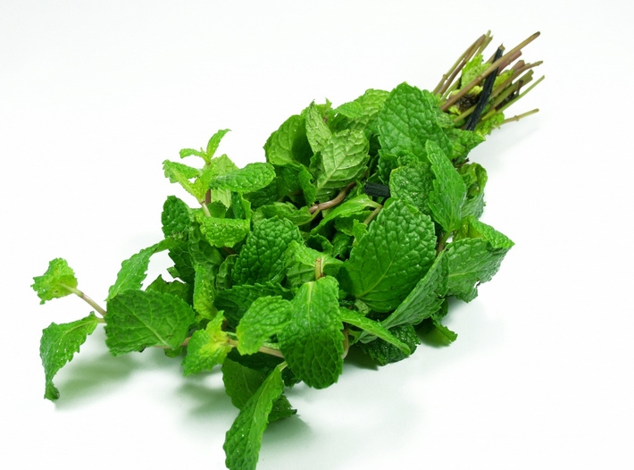 Мята перечная