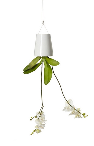 Выращивание растений вверх ногами