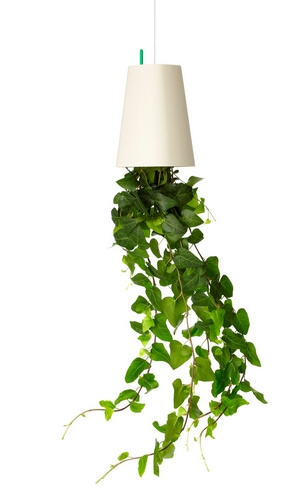 Выращивание растений вверх ногами