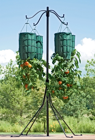 Выращивание растений вверх ногами