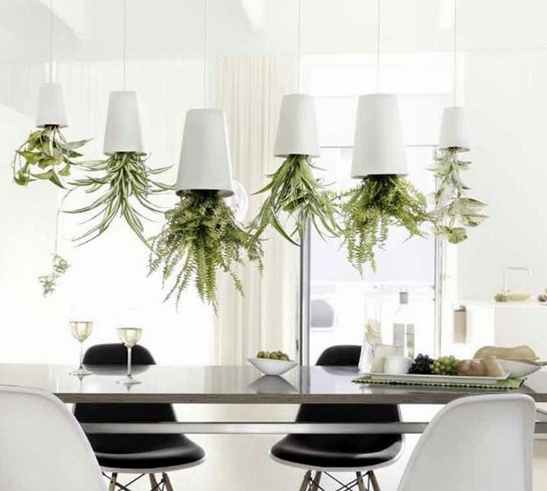 Выращивание растений вверх ногами