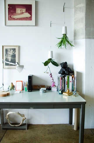 Выращивание растений вверх ногами