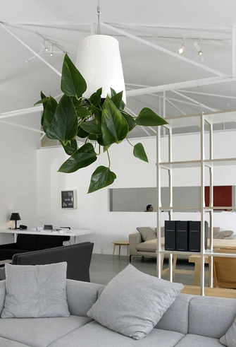 Выращивание растений вверх ногами