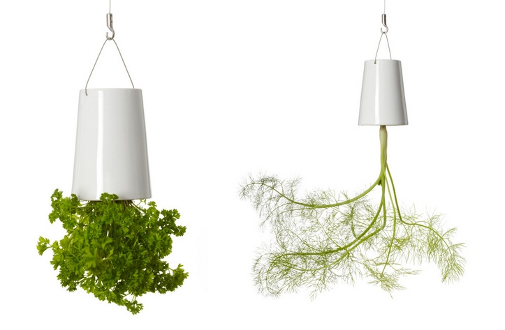 Выращивание растений вверх ногами