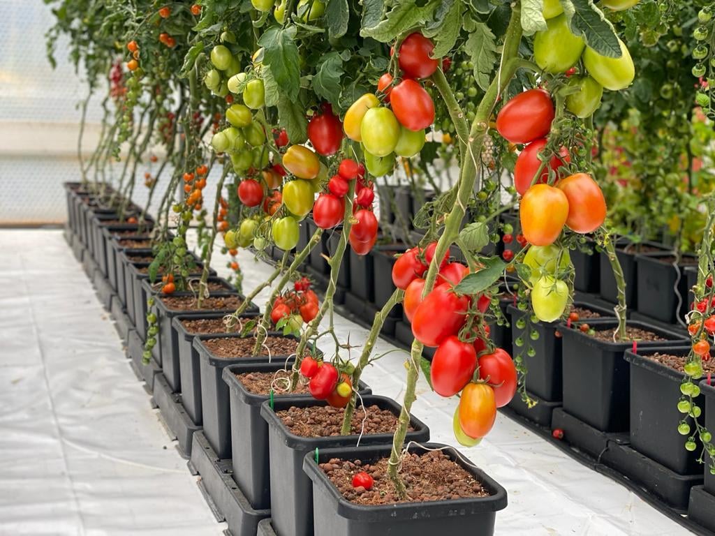 AutoPot Easy2grow Kit — полный комплект