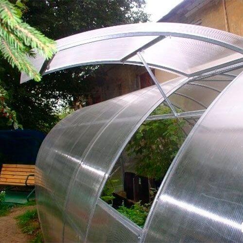 Теплица сибирская