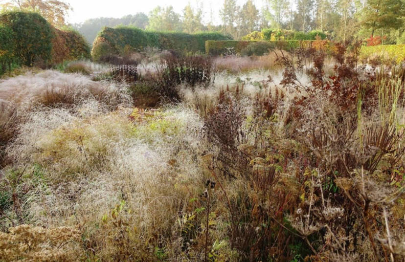 Формы в современных цветниках Пит Удольф