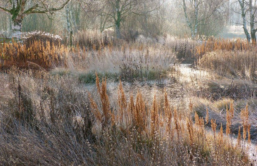 Формы в современных цветниках Пит Удольф