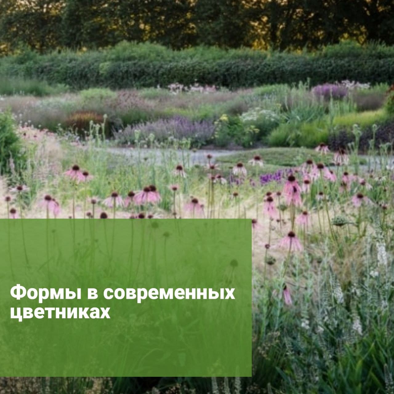 Формы в современных цветниках  Пит Удольф