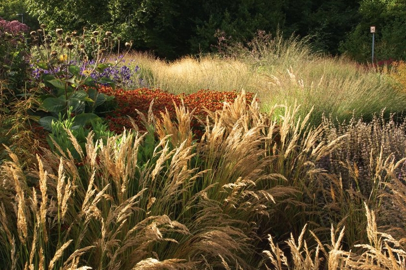 Формы в современных цветниках Пит Удольф