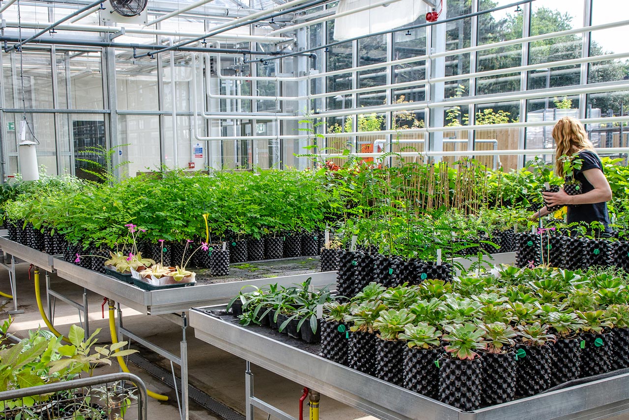 Горшок Air-Pot